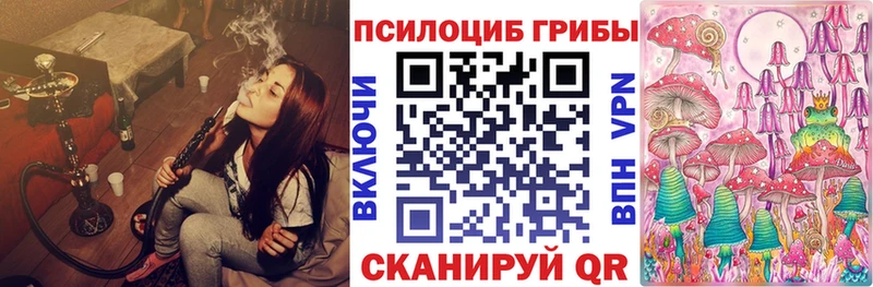 Купить  Буйнакск  Псилоцибиновые грибы ЛСД 